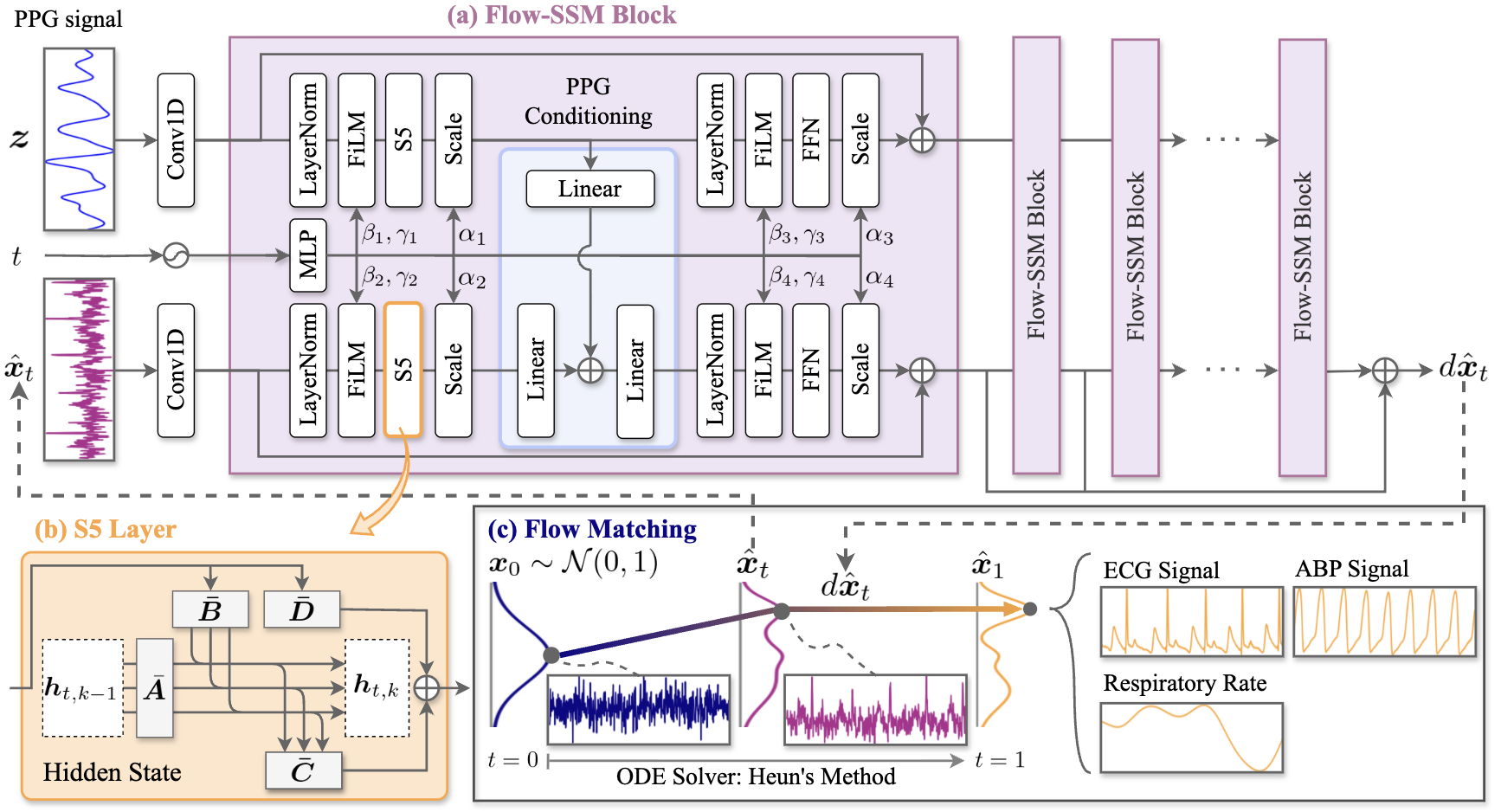 PENGUIN: General Vital Sign Reconstruction from PPG with Flow Matching State Space Model